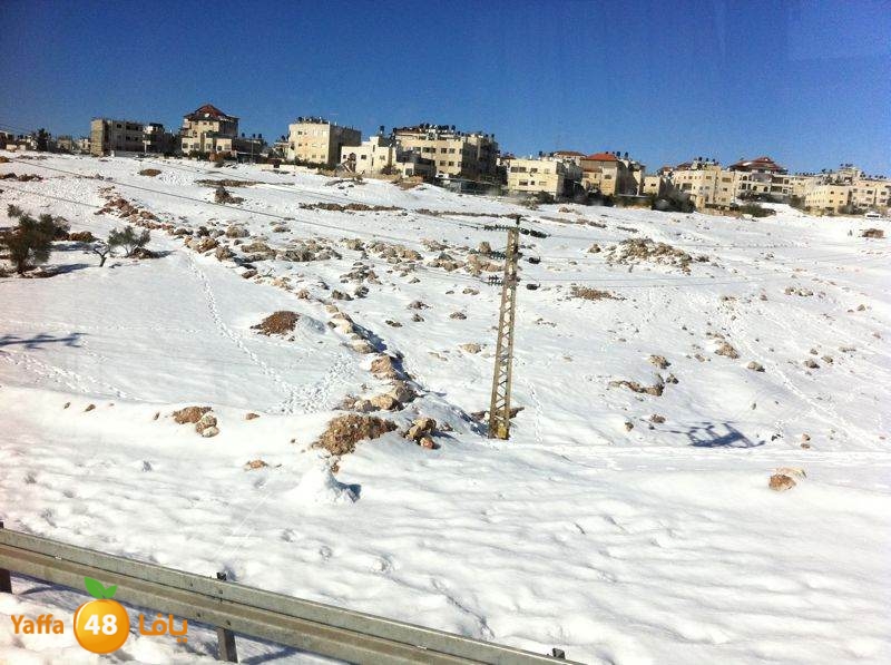 yaffa byareq (4).jpg